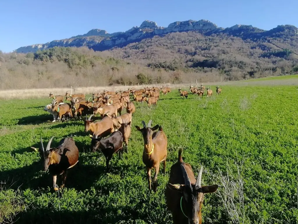 Fromagerie des Embialades